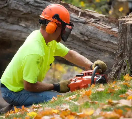 tree services Poquott